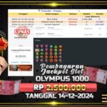 BUKTI JACKPOT SLOT GATES OF OLYMPUS 1000 TERPERCAYA DI INDONESIA TGL 14-12-2024