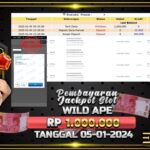 BUKTI JACKPOT SLOT WILD APE TERPERCAYA DI INDONESIA TGL 05-01-2025