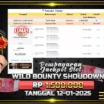 BUKTI JACKPOT WILD BOUNTY SHOWDOWN TERPERCAYA DI INDONESIA TGL 12-01-2025